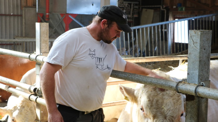 eebenpuu homo porno sivusto