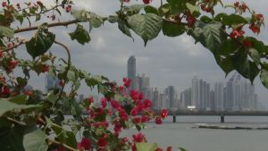 Panama Cityn siluetti. 