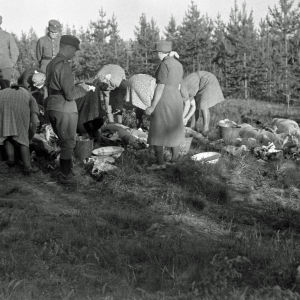 streamate nainen haluaa miestä streamate nainen haluaa miestä