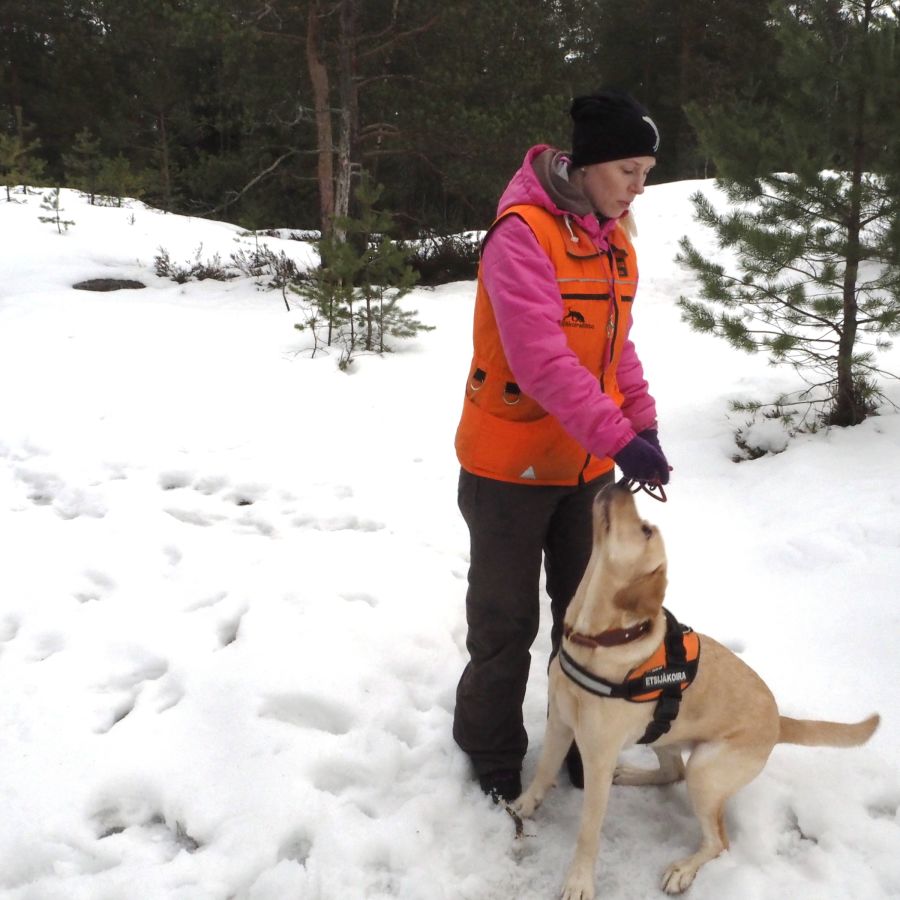 Elina Kestilä-Kekkonen kouluttaa Sylvistä etsijäkoiraa. Elina Kestilä-Kekkonen koiransa kanssa