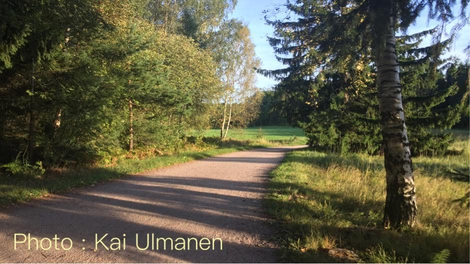 Sakari Kuosmanen - Onnen Lyhteet Sakari Kuosmanen - Onnen Lyhteet