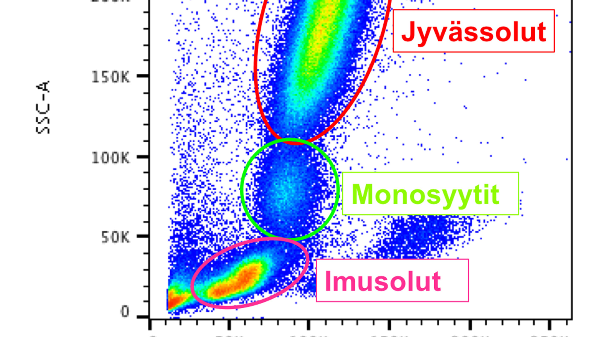 kuuma lesbo pillua video