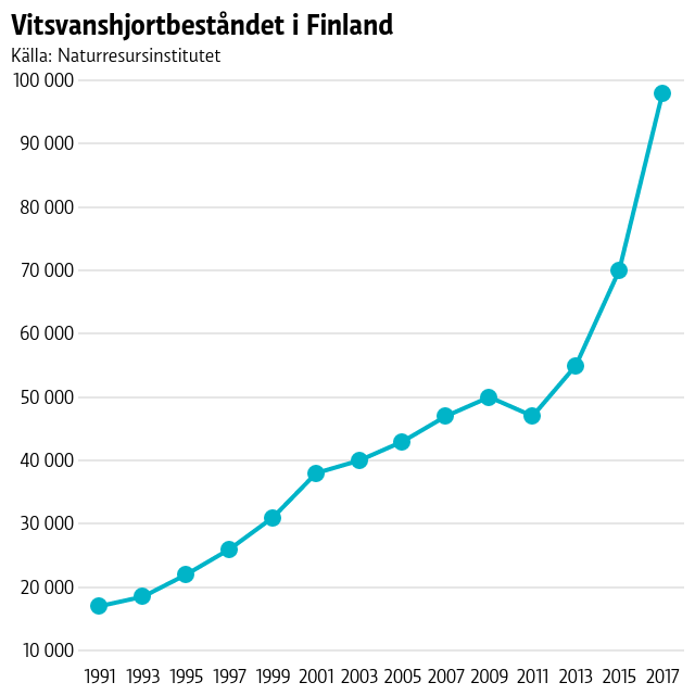 Vitsvanshjorten har ökat från knappt 20 000 individer år 1991 till nästan 100 000 år 2017. Snabbast har ökningen varit mellan år 2013 och 2017.
