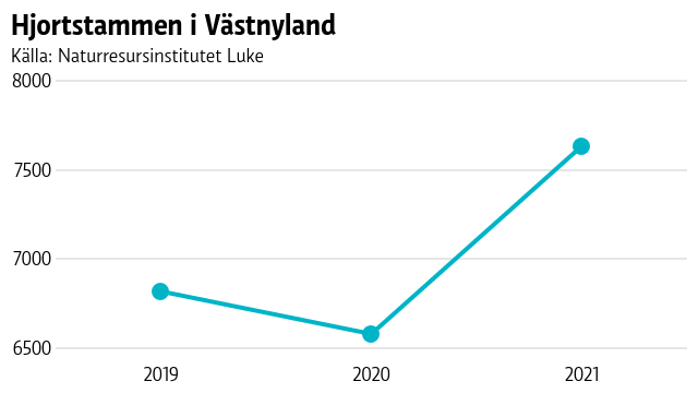 En kurva visar hur hjortstammen i Västnyland minskade lite från 2019 till 2020, men sedan ökade stammen markant från 2020 till 2021.