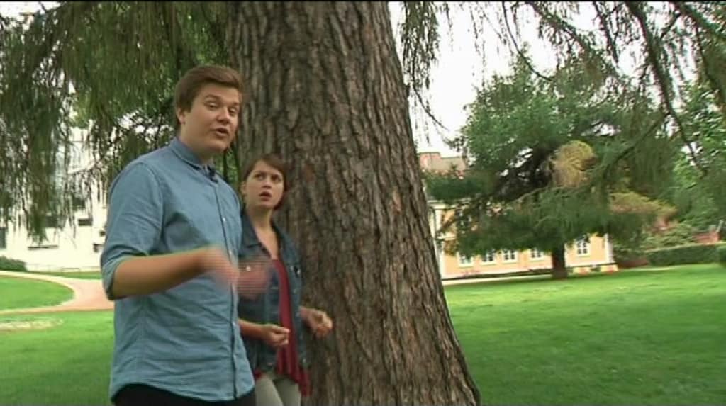 yle puhe netissä poika nai äitiä yle puhe netissä poika nai äitiä