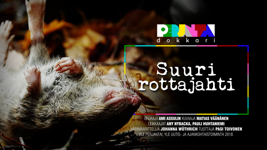 Suuri Rottajahti Perjantai Dokkari Tv Areena Yle Fi