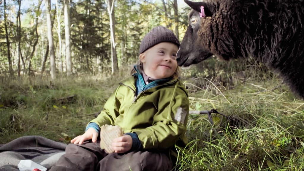 Emilia-Lammas | Eläinten Ystäviä | Tv | Areena | Yle.fi
