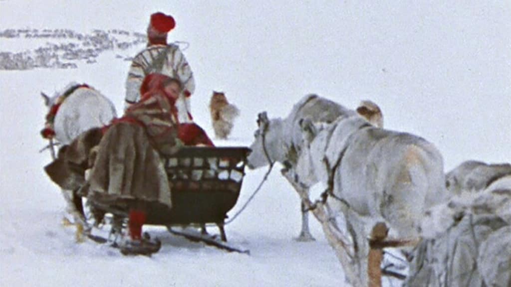 Elava Arkisto Arktinen Raportti Pohjoiseen Pohjoiseen Elava Arkisto Tv Areena Yle Fi
