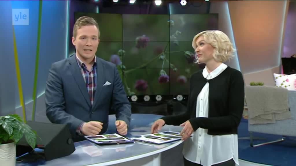 Ylen Aamu Tv Aamu Tv N Kesakuvakisa Ylen Aamu Tv Areena Yle Fi