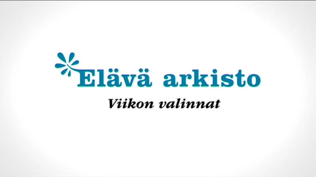 Ylen Aamu Tv Elava Arkisto Ylen Aamu Tv Areena Yle Fi