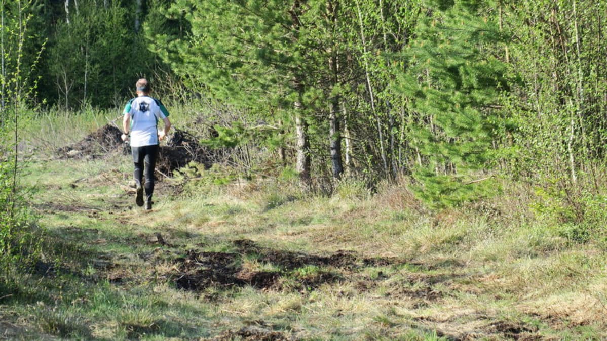 suunnistaja urho suunnistaja urho