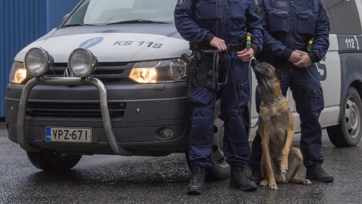 Poliisikorkeakoulu Poliisikorkeakoulu
