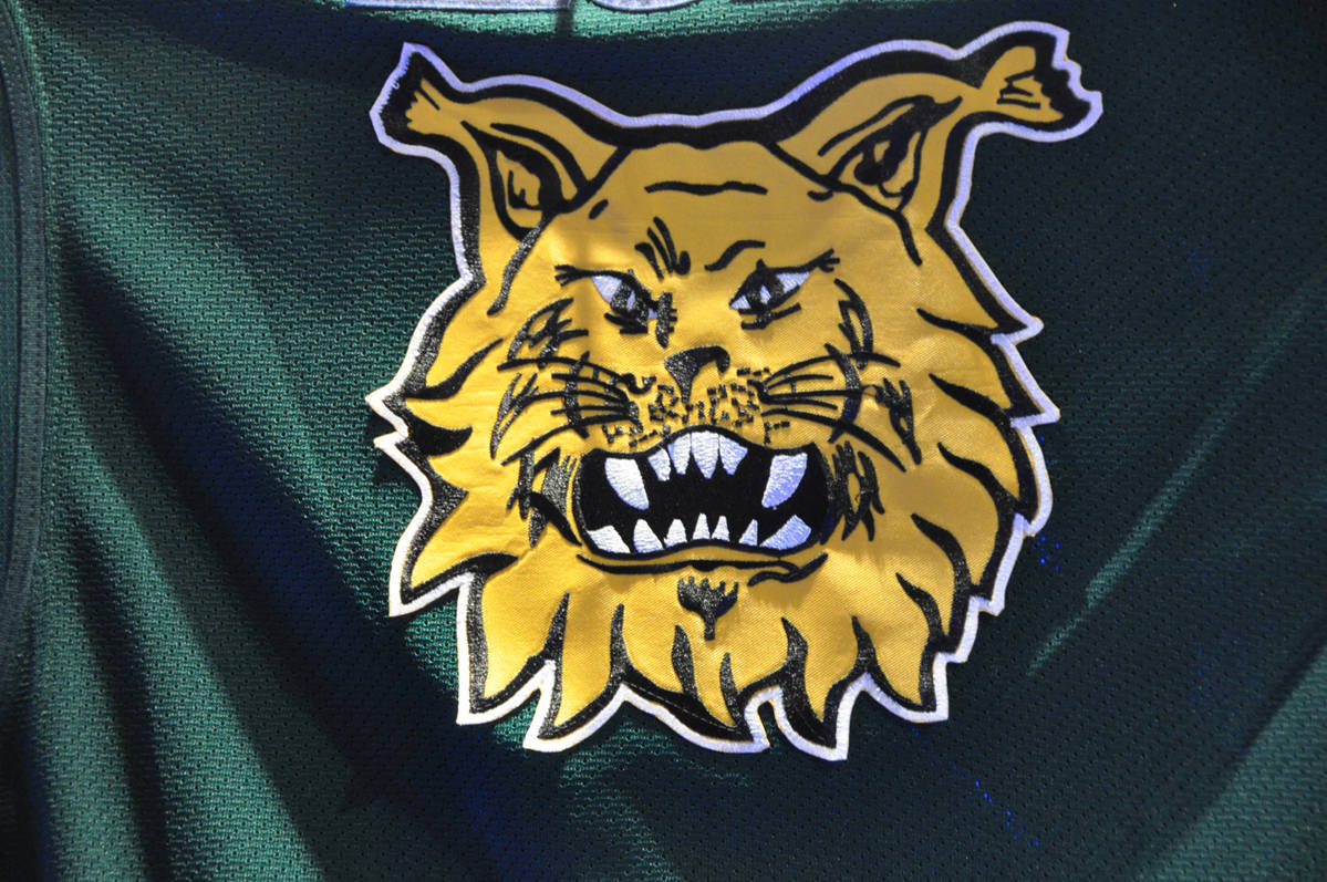ilveksen-logo