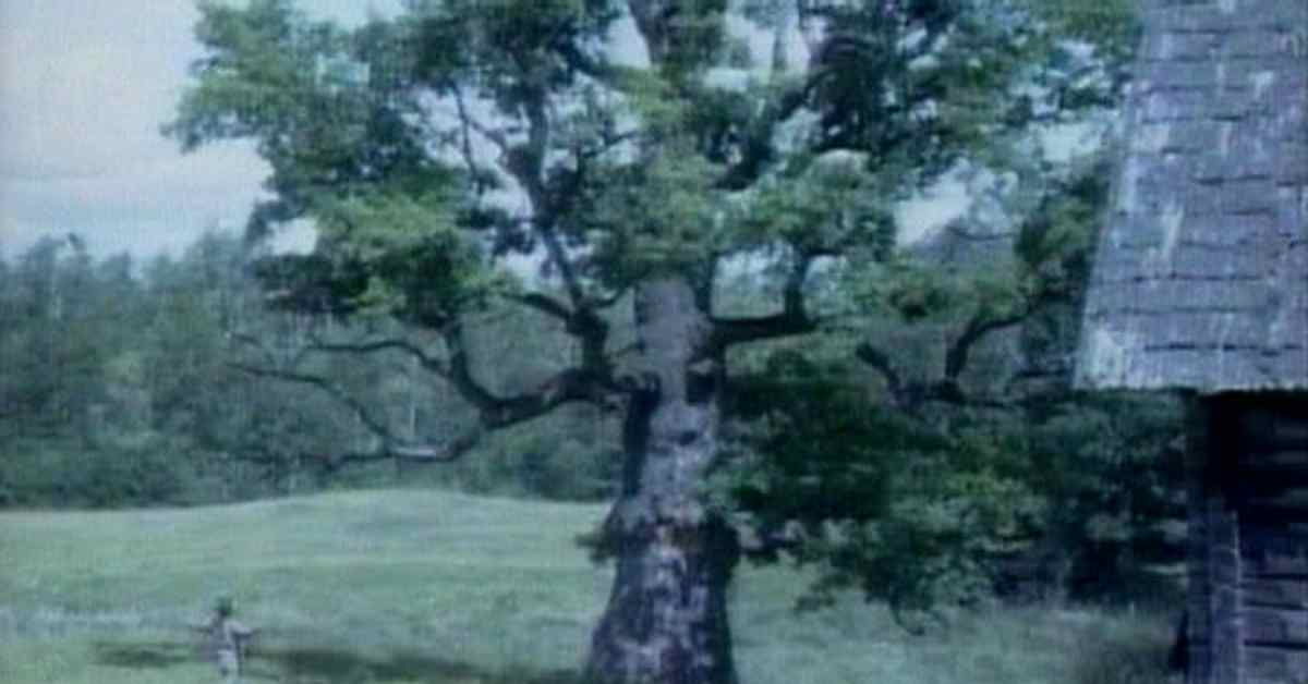 Pakanaperinteitä Liettuan luonnon keskellä | Elävä arkisto