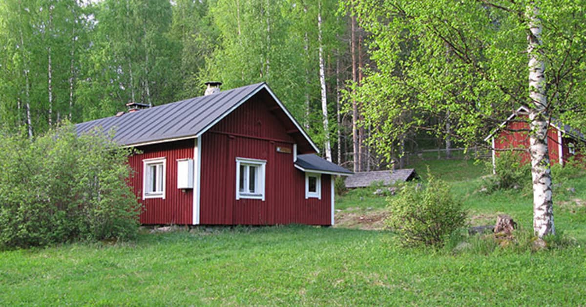 mets-hallituksen-paimenviikkojen-suosio-huipussaan-kolin-sepp-l-n-tila