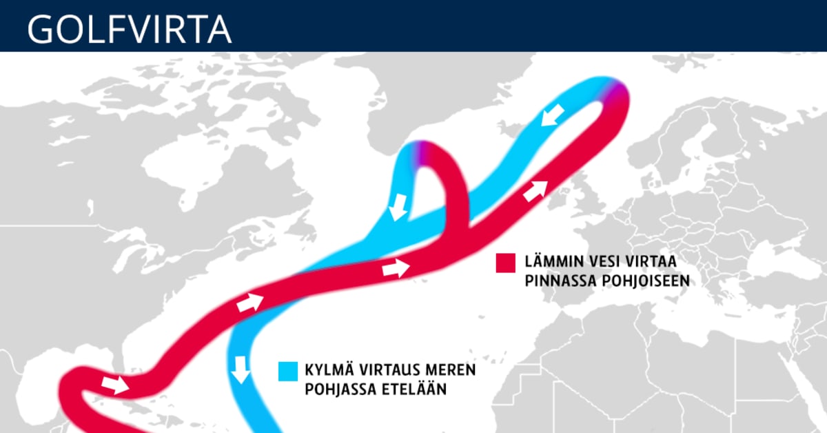 yle.fi