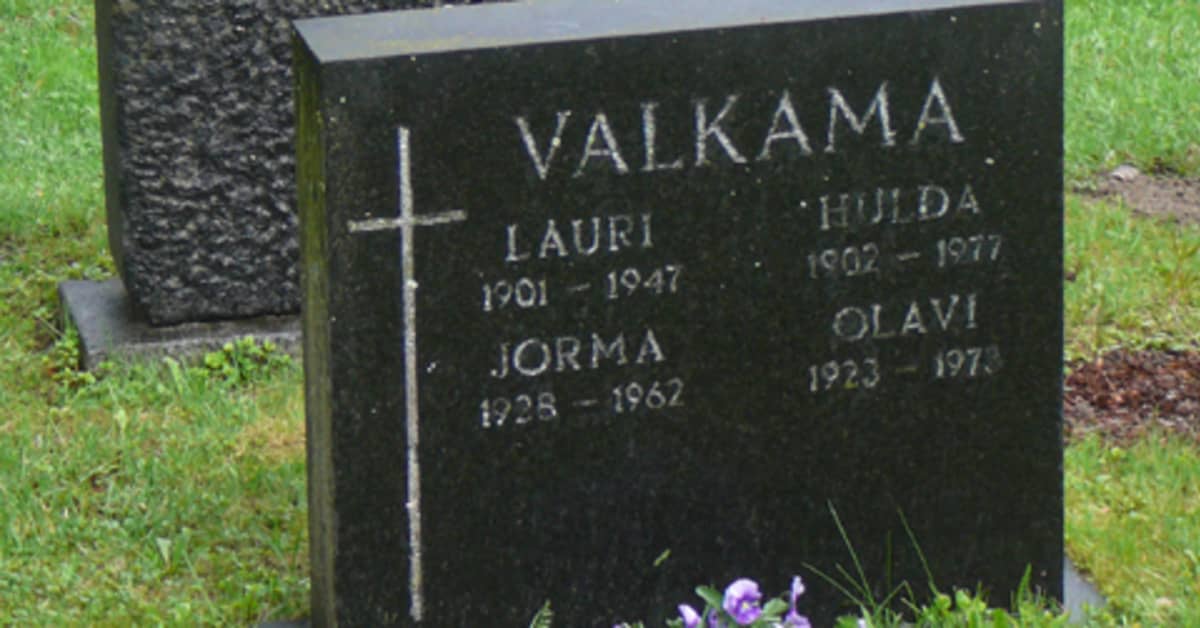 Jorma Valkama - pituushypyn ainoa suomalainen olympiamitalisti | Yle