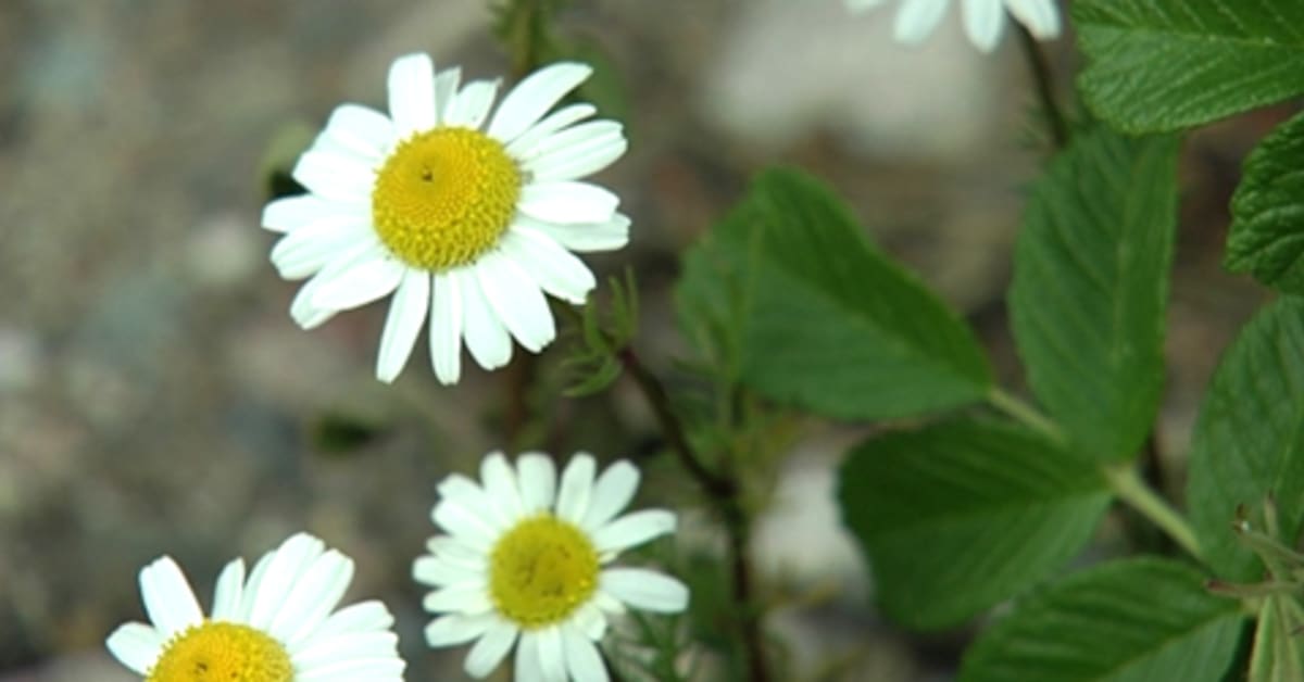 Are Banks And Post Offices Closed Tomorrow