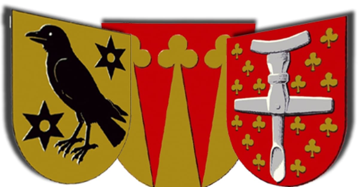 Kaarinan, Paimion ja Sauvon kuntaliitos selvitteillä Yle