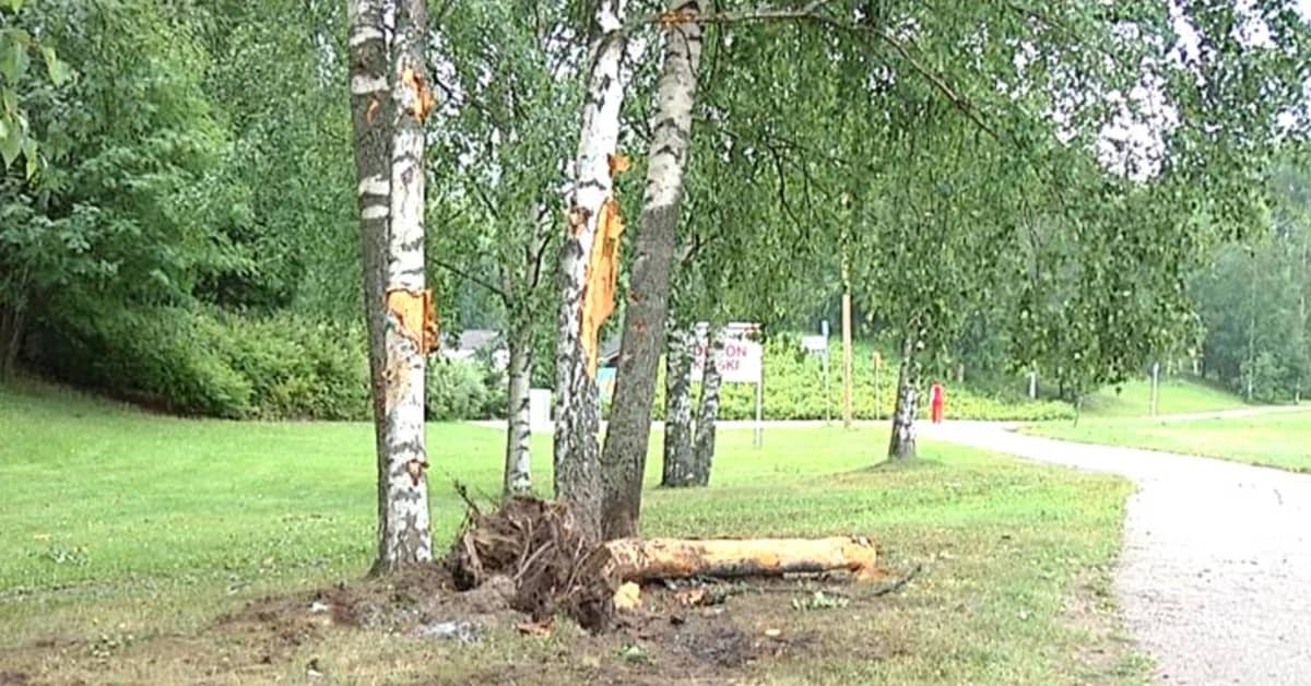 Kaksi Nuorta Menehtyi Rajussa Ulosajossa Yle Uutiset