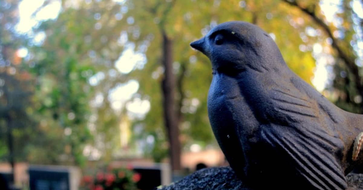 Kuolema häivytetään elämästä, vaikka kuolleisuus on sata