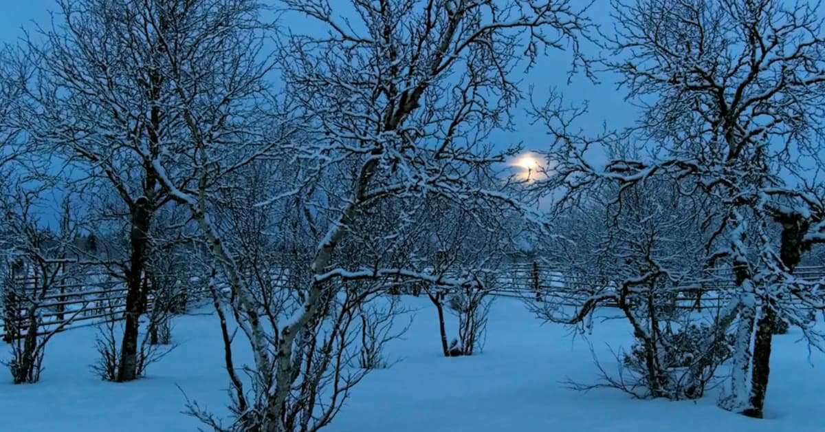 На северные районы Финляндии опустилась полярная ночь | Yle