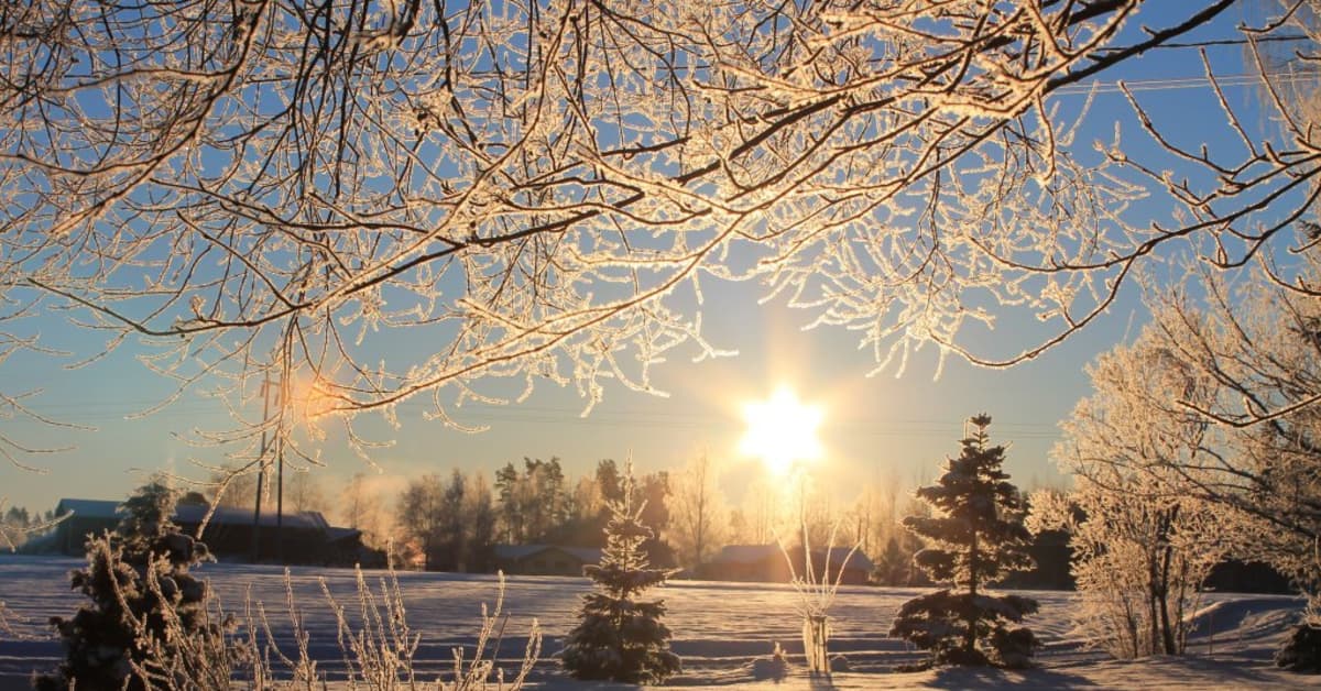 Milloin kevät tulee? | Yle