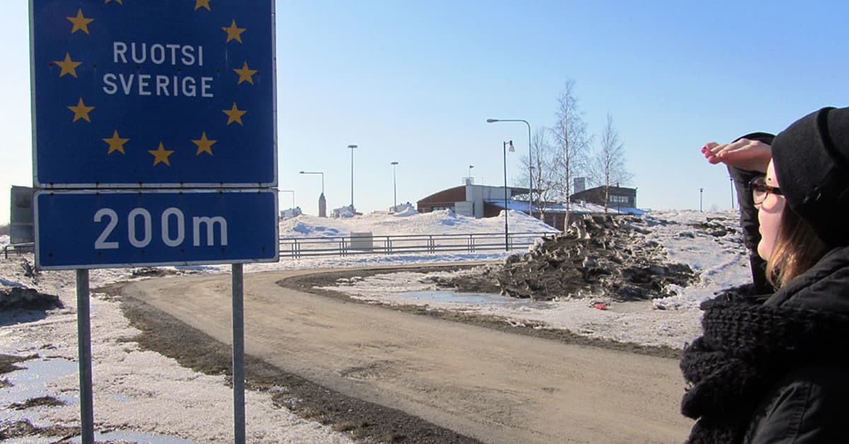 Ruotsin Kieli Huolestuttaa Kes ty n Hakijoita Yle Uutiset