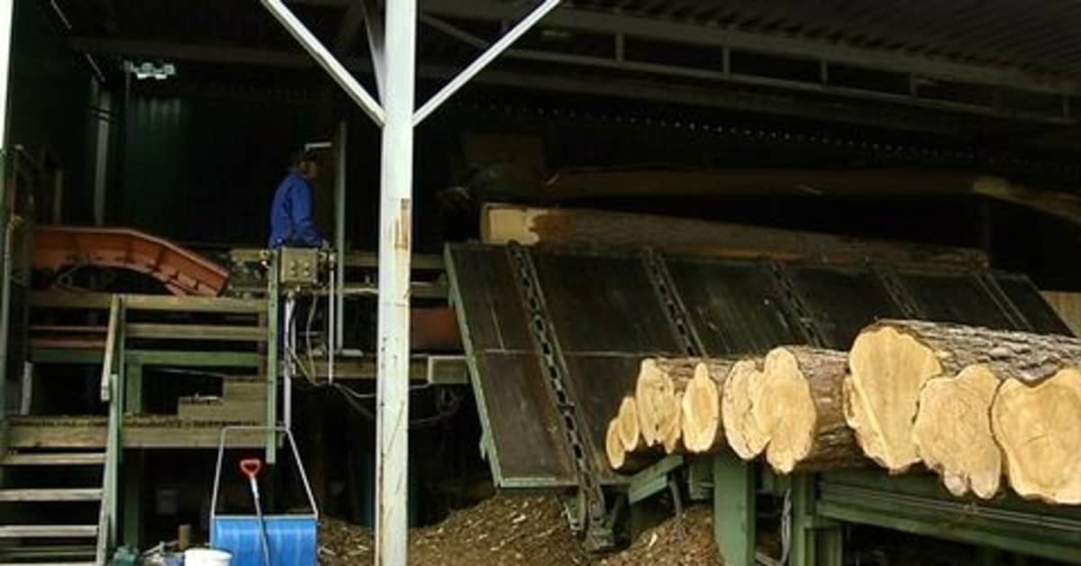 Лесопильни испытывают трудности - рецессия близка | Yle