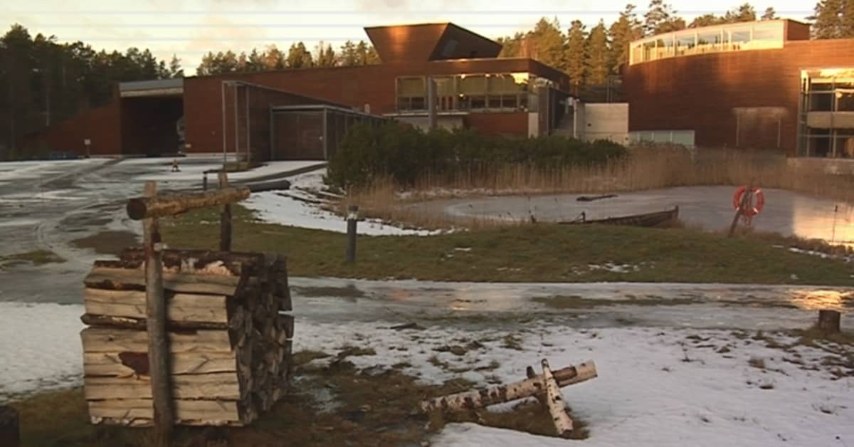 Metsämuseo Lusto tuottaa mainetta ja mammonaa | Yle Uutiset