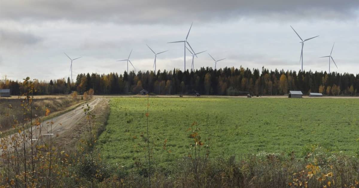 Suomen suurin tuulivoimapuisto nousee Vähäänkyröön | Yle Uutiset