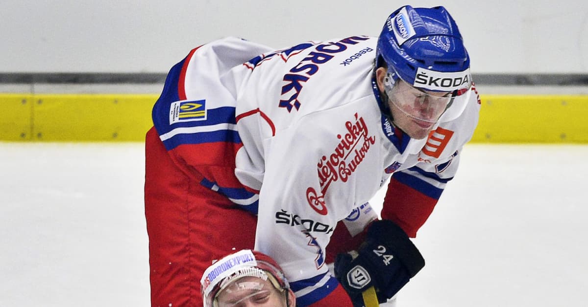 Blues puolustaja sopimukseen Stanley Cup finalistin kanssa Yle