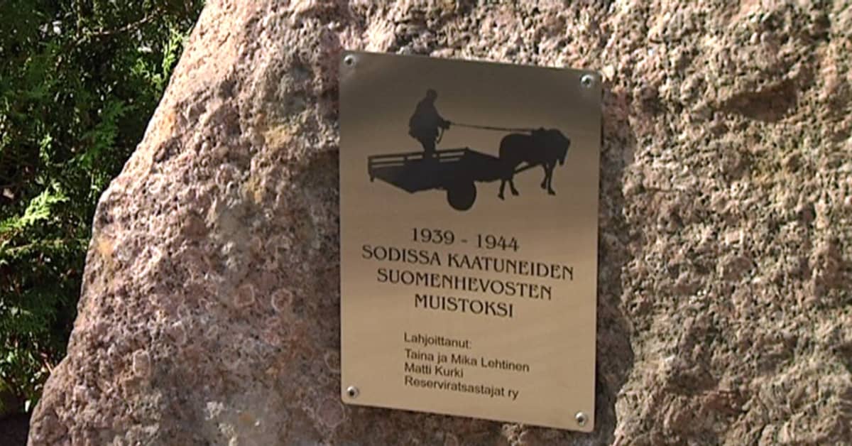 Kaatuneille sotahevosille paljastetaan ensimmäinen muistomerkki Suomessa:  