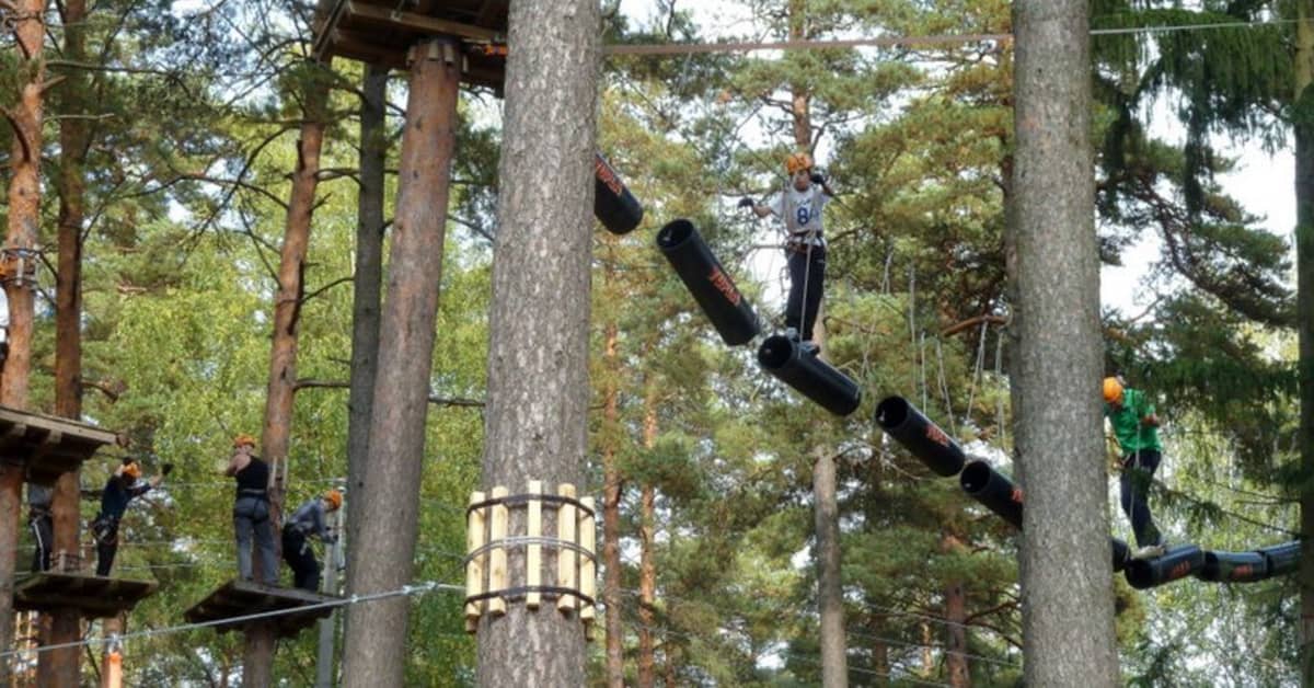 Seikkailupuistot yleistyvät vihdoin Suomessakin – vakavilta tapaturmilta on  vältytty | Yle Uutiset