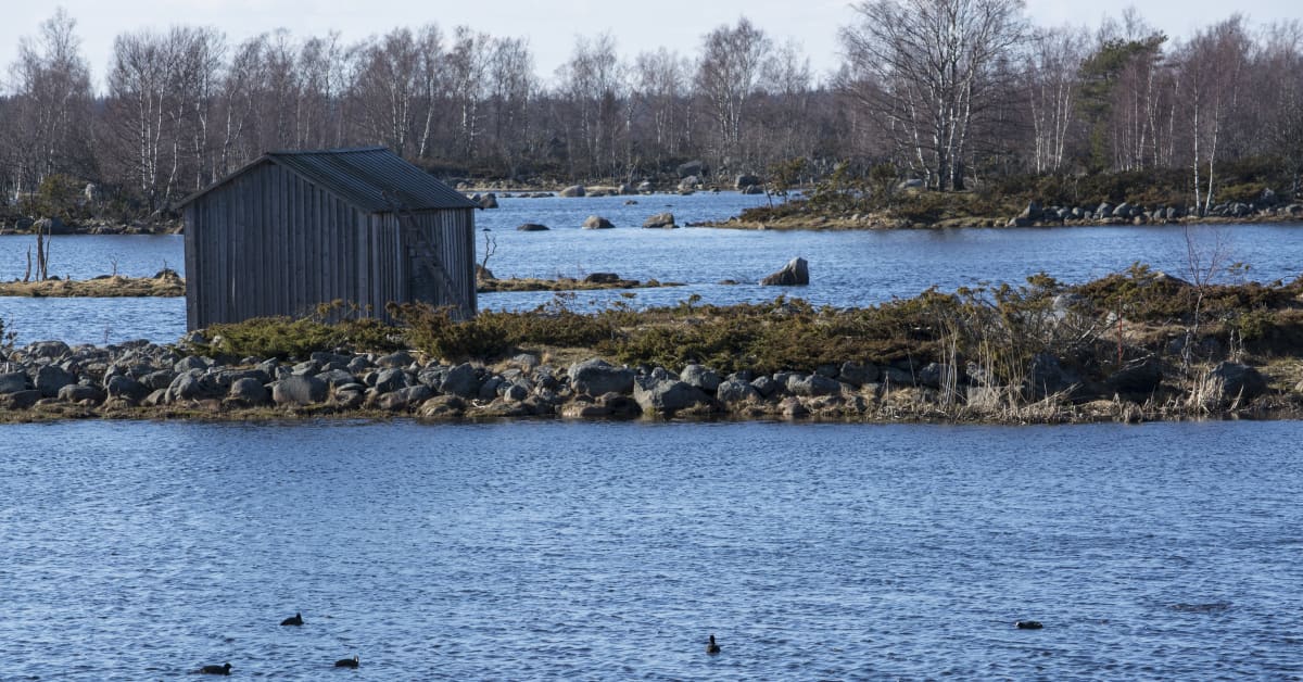 yle.fi