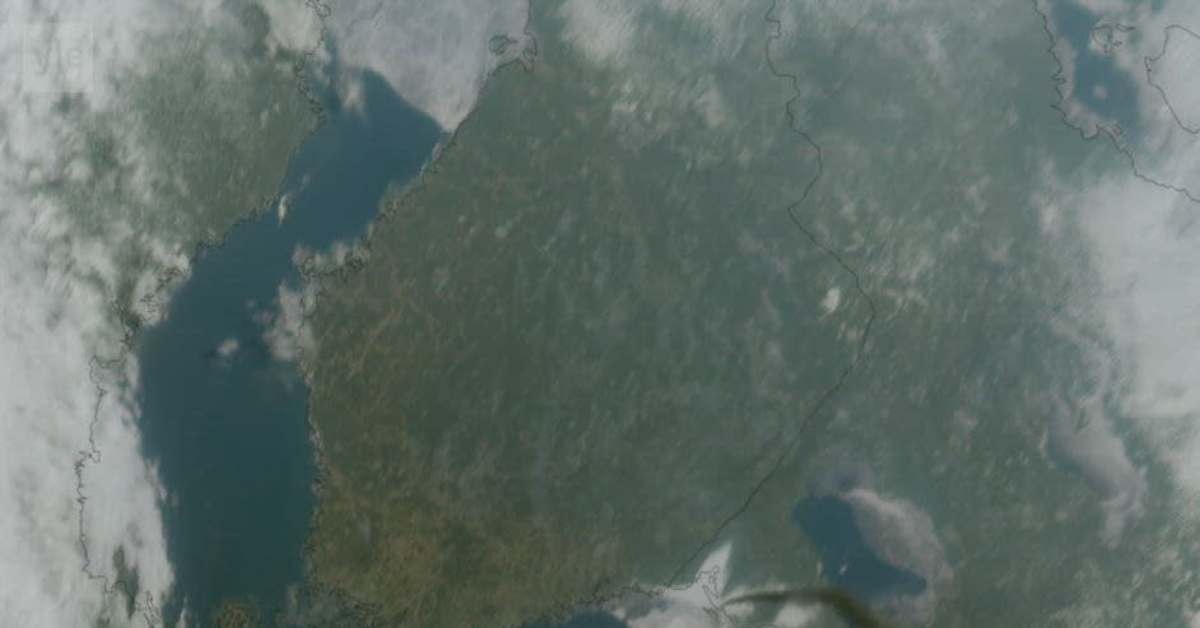 Russia Ukraine War Map Live: Drone Strike on Russia's Primorsk Port Igniting Environmental Catastrophe Amid Escalating Drone Warfare