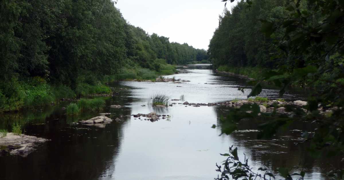lappfj-rd-mynning-muddras-sterbotten-svenska-yle