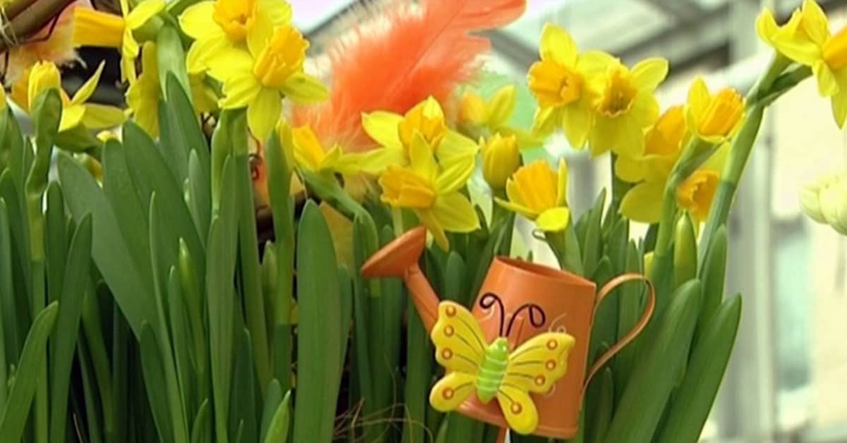 Vackert väder under påsk Inrikes Svenska Yle