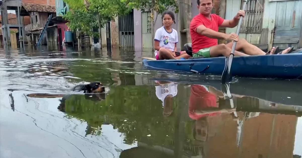 Kajakointia kaduilla – video näyttää, miten tiet tulvivat rankkasateiden jälkeen Parán osavaltiossa Brasiliassa