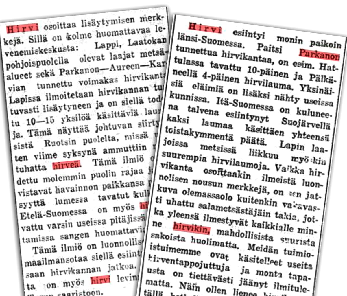 Satakunnan kansan lehtileikkeitä hirvistä vuosilta 1928 ja1929.