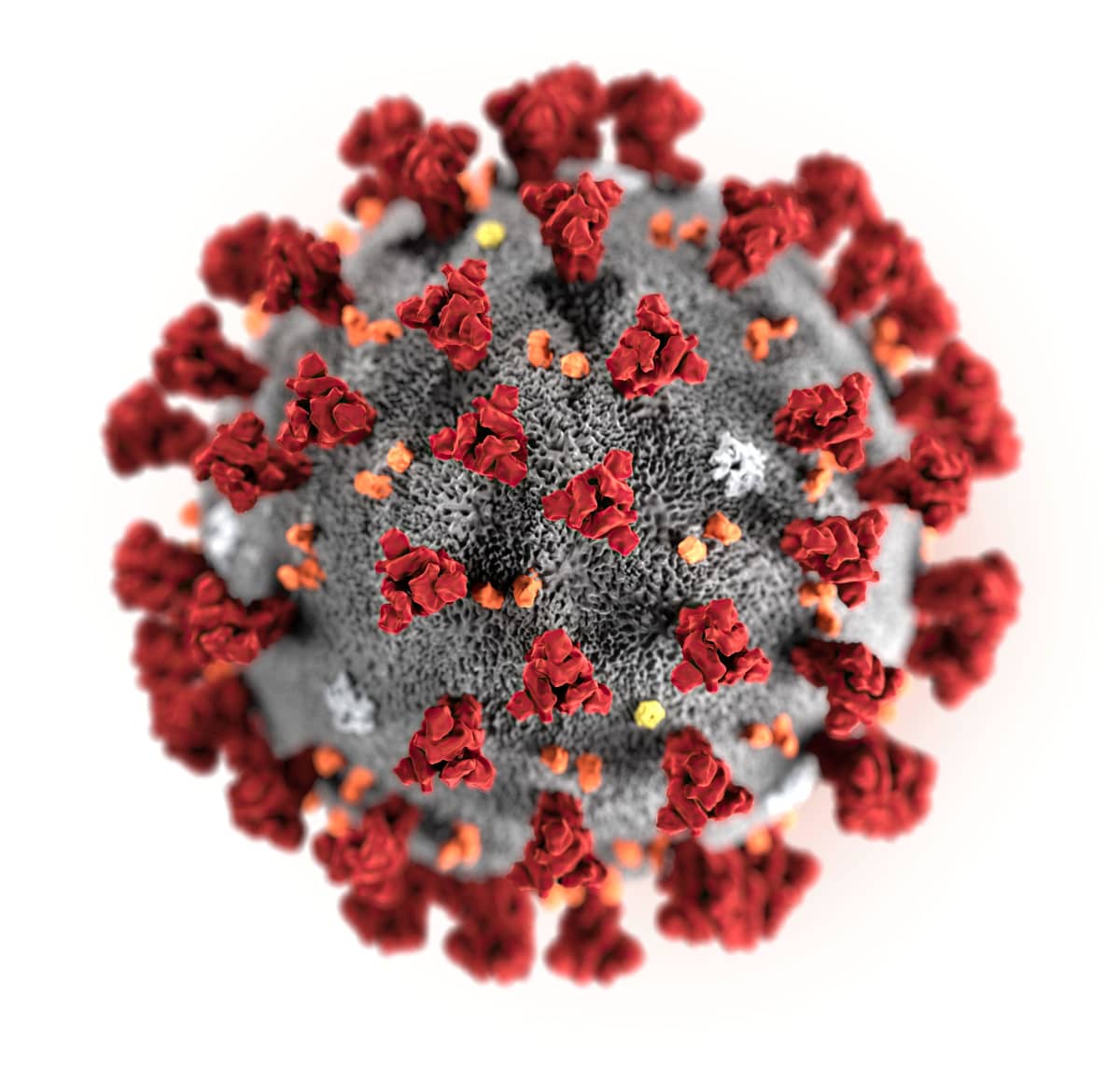 Tietokoneella piirretty kuva koronaviruksesta. 