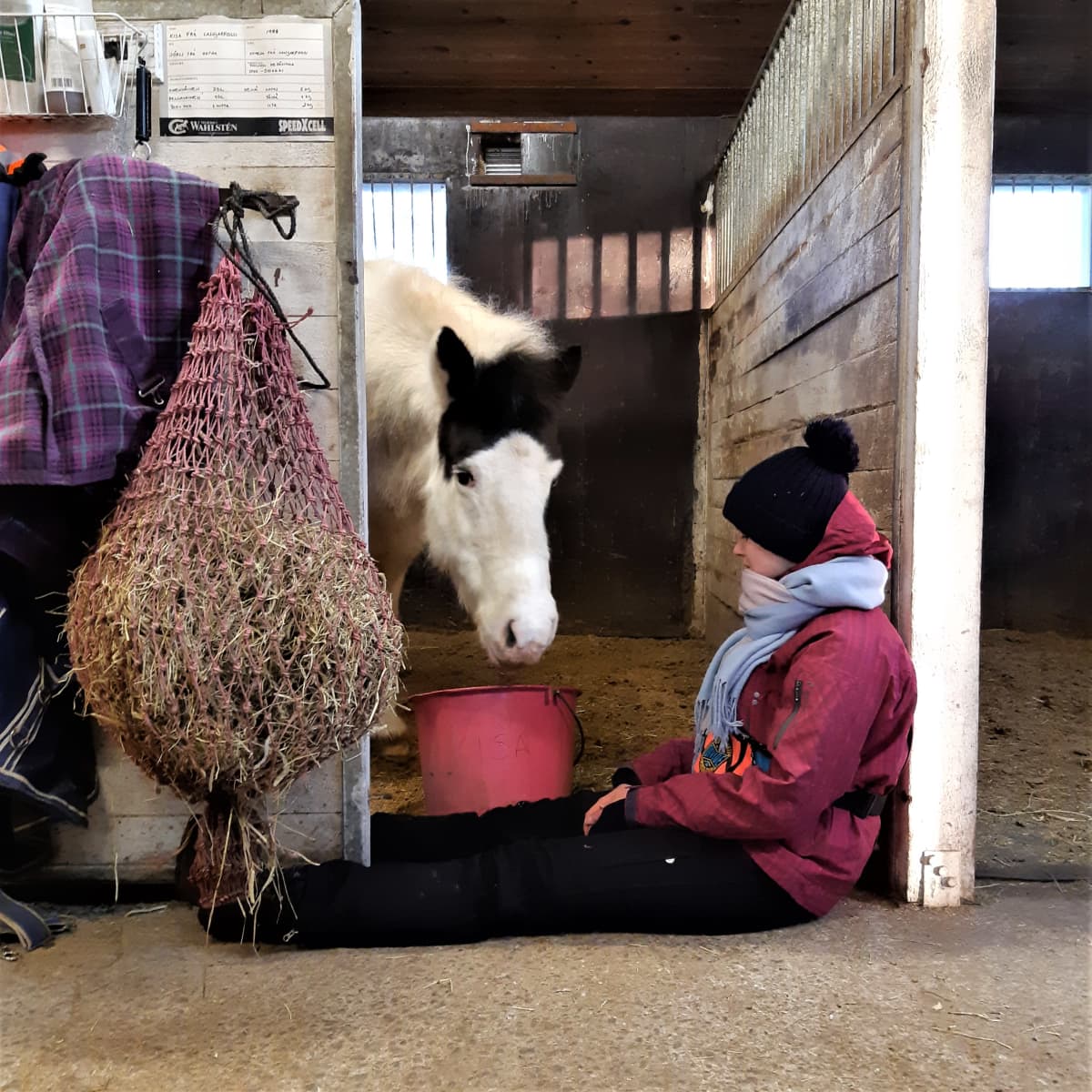 Mila Tanttu istuu tallin lattialla hevosen karsinan oven suussa.
