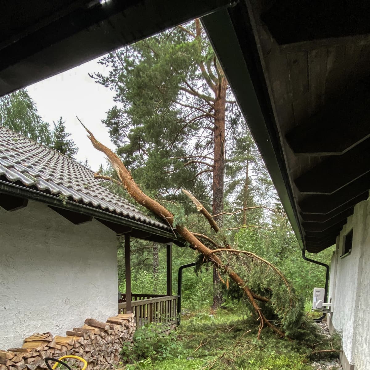 Puu kaatunut talon päälle myrskyssä.