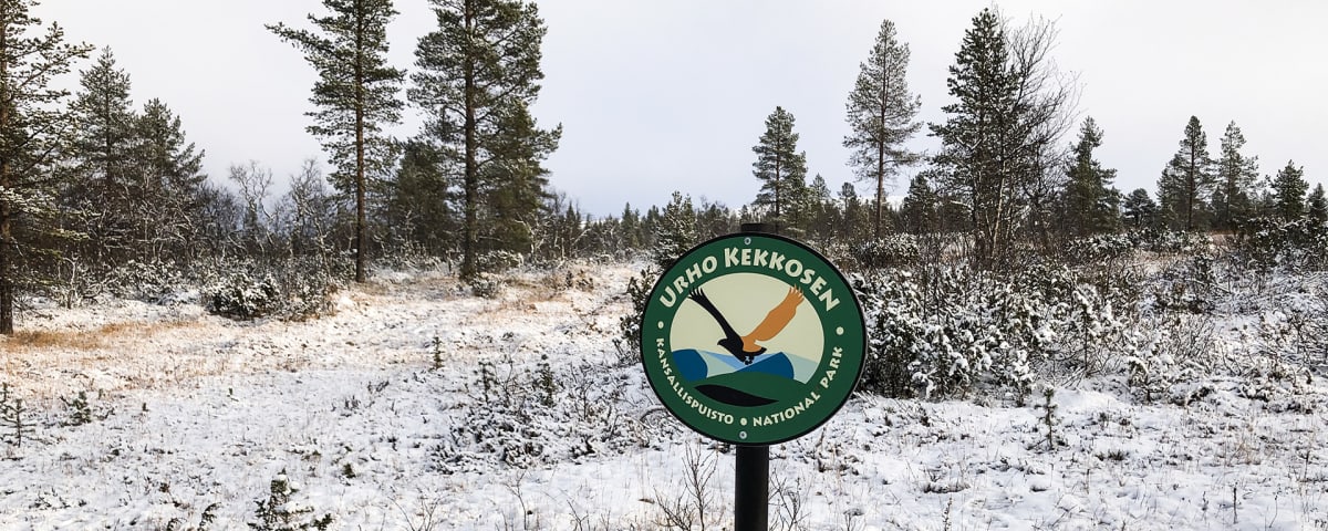 Urho Kekkosen kansallispuisto luminen maisema.