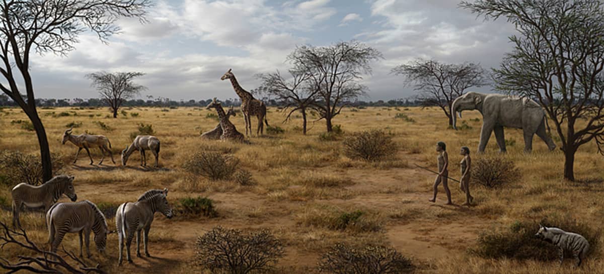 Kaksi ihmistä kävelee savannilla, jola kasvaa harvakseltaan puita. Ympärillä on norsu, kirahveja ja muita Afrikan eläinlajeja. 