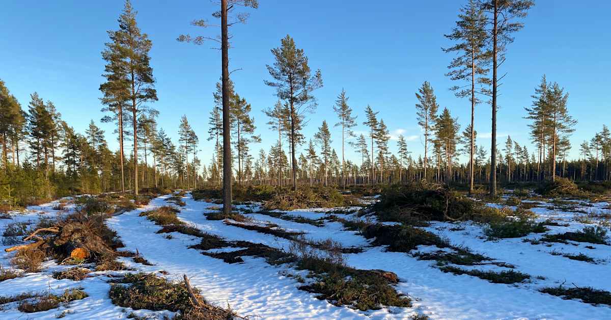 yle.fi