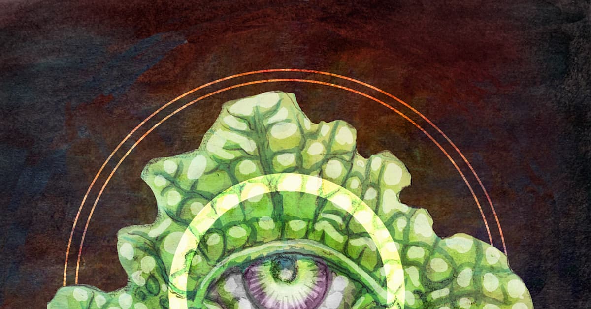 Minkä kasvin on uskottu parantavan treffimenestystä? Tee testi ja kokeile, tunnetko uskomukset