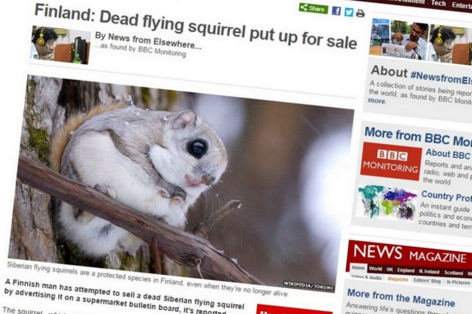 Uusi eebenpuu anaali porno