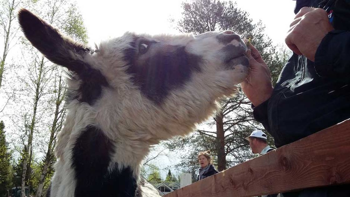 Yksityinen Lesbo Sex Tape