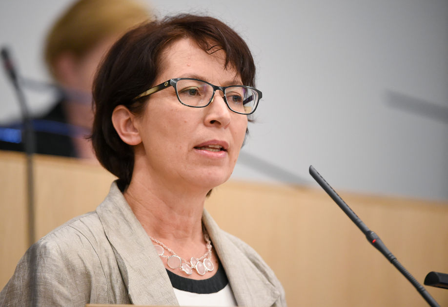 Sari essayah english 05 picture